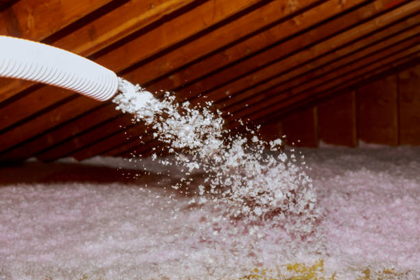 Best Cellulose Insulation in Lincolnshire, IL