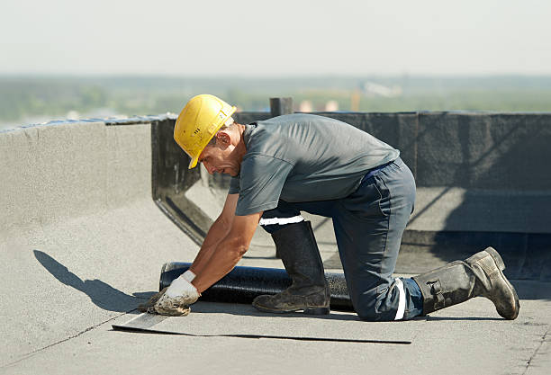 Best DIY Insulation Kits and Guidance in Lincolnshire, IL
