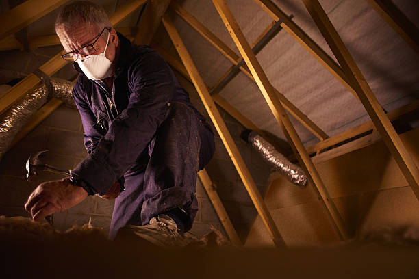 Best Specialized Insulation Services in Lincolnshire, IL
